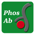 Phospho-Specific Antibodies