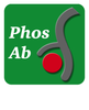 Arpc1b/p41-Arc (Thr-21), phospho-specific Antibody